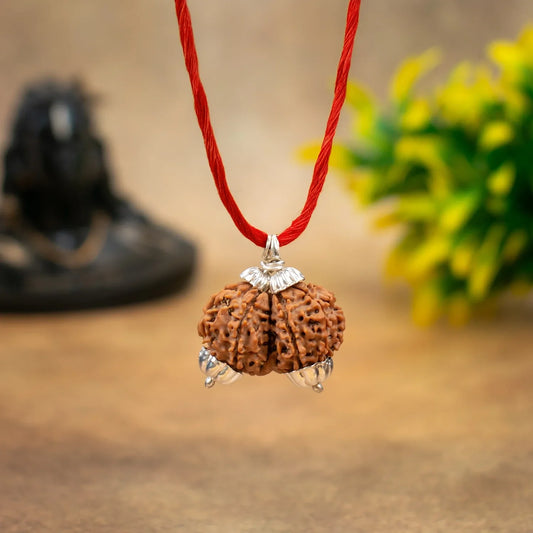 Gauri Shankar Rudraksha