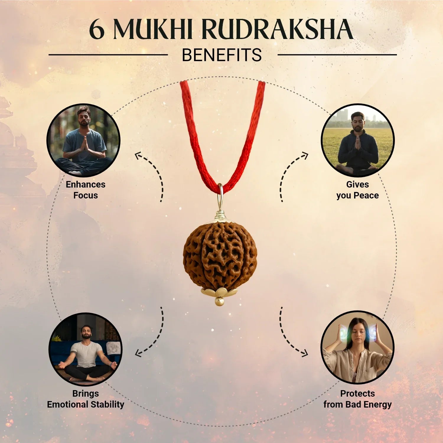 Nepal Origin 6 Mukhi Rudraksha