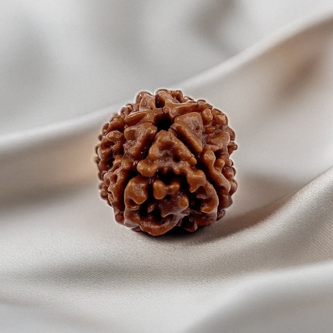 Nepal Origin 3 Mukhi Rudraksha