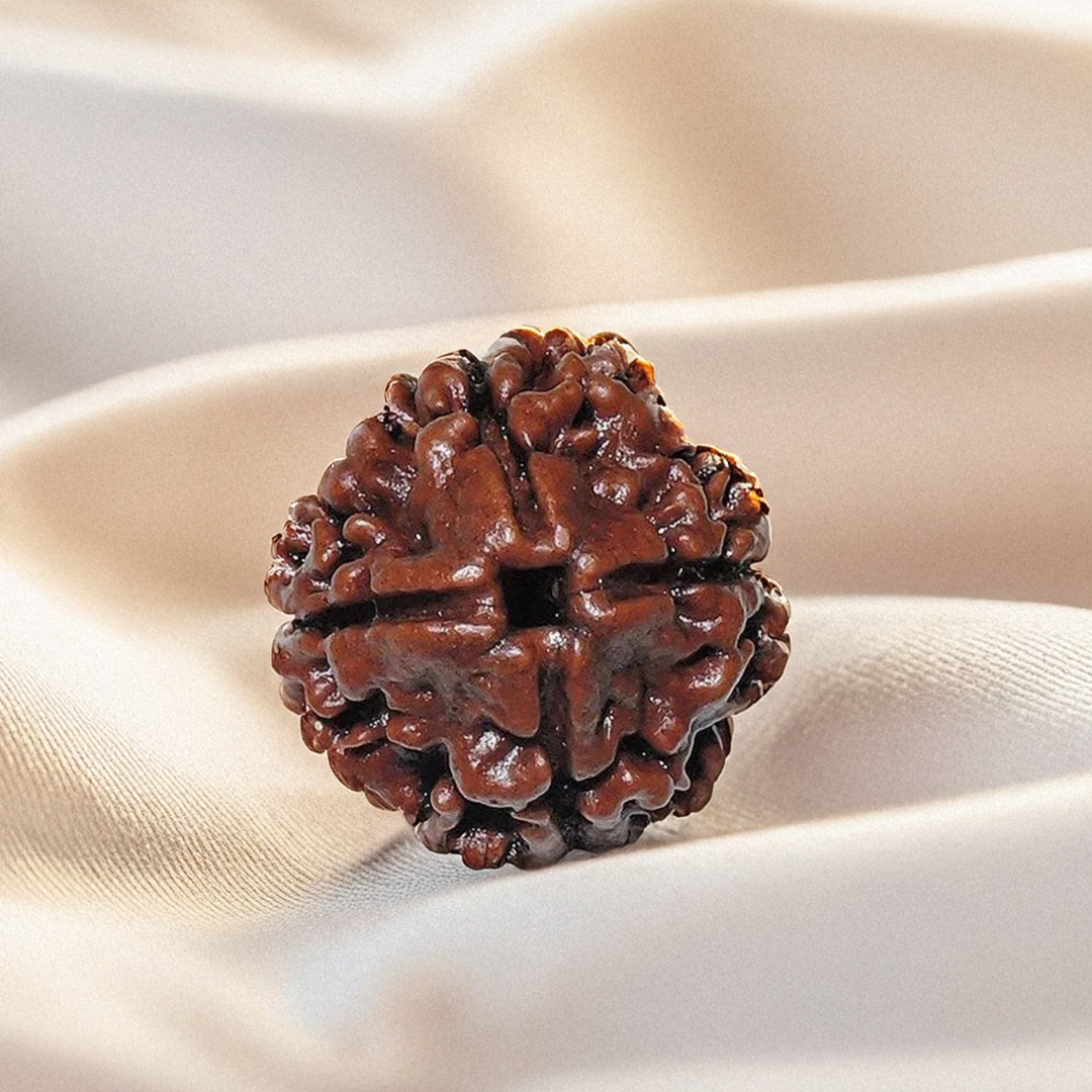 Nepal Origin 4 Mukhi Rudraksha
