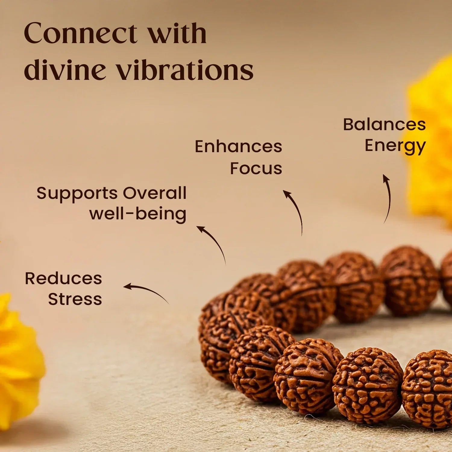 5 Mukhi Rudraksha Bracelet