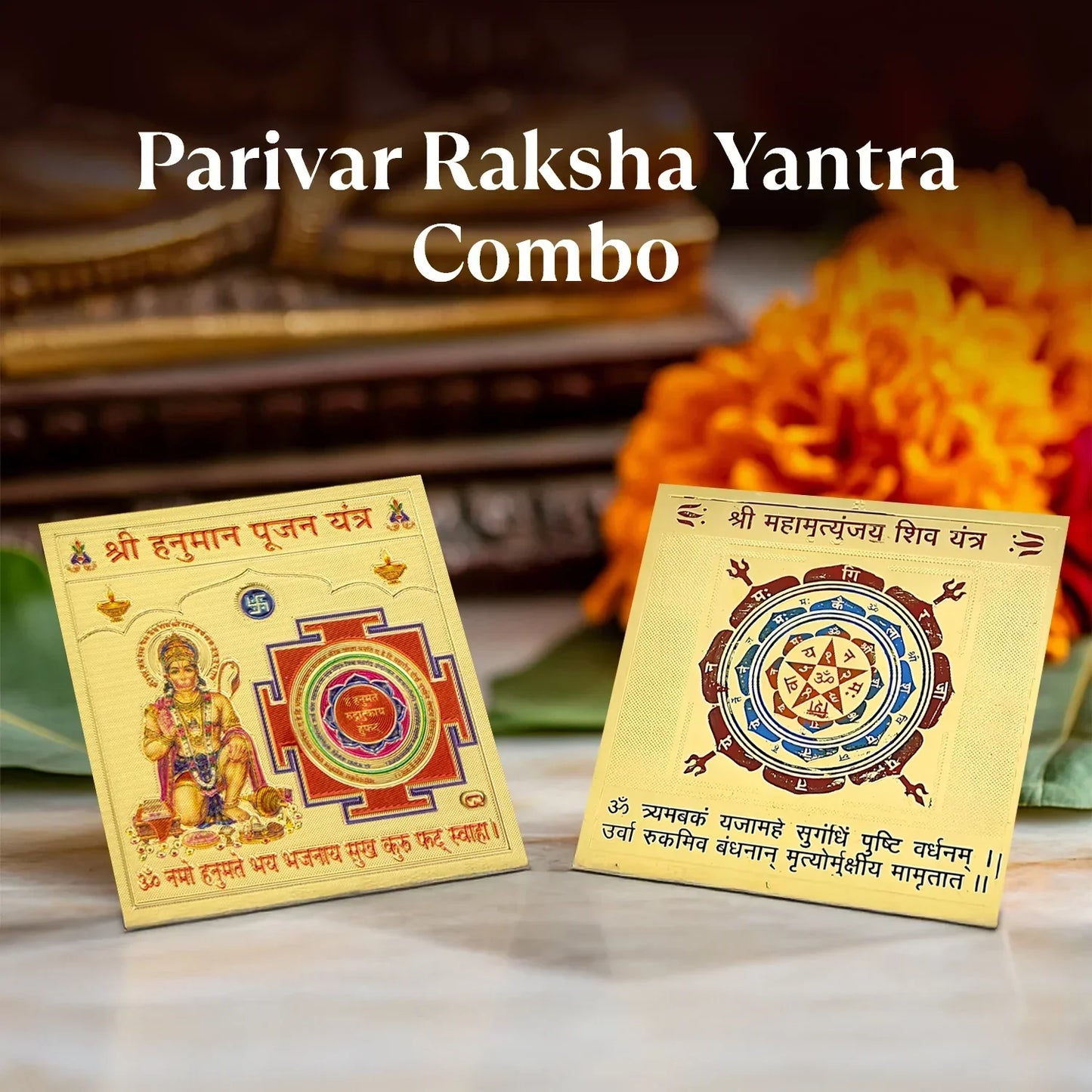 Parivar Raksha Yantra Combo