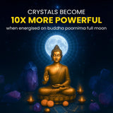 Energised Seven Chakra Bracelet