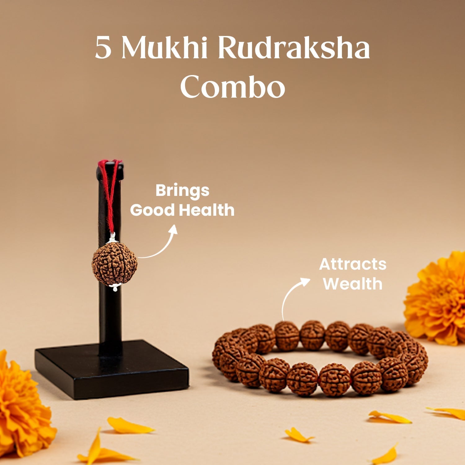 5 Mukhi Rudraksha Combo